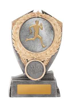 12a-2dc4mb_discount-general-sports-trophies.jpg
