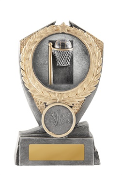 12a-2dc8g_discount-netball-trophies.jpg