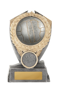 12a-2dc8ga_discount-netball-trophies.jpg