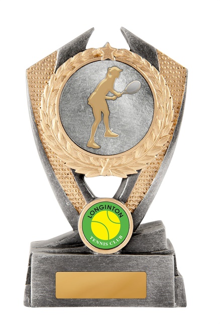 12a-2dc12fa_discount-general-sports-trophies.jpg
