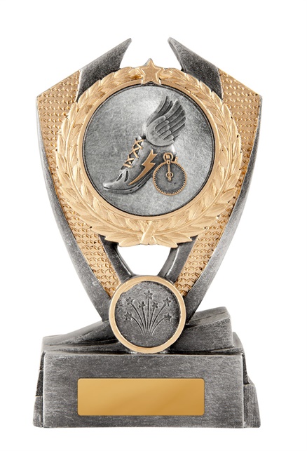 12a-2dc18g2_discount-general-sports-trophies.jpg