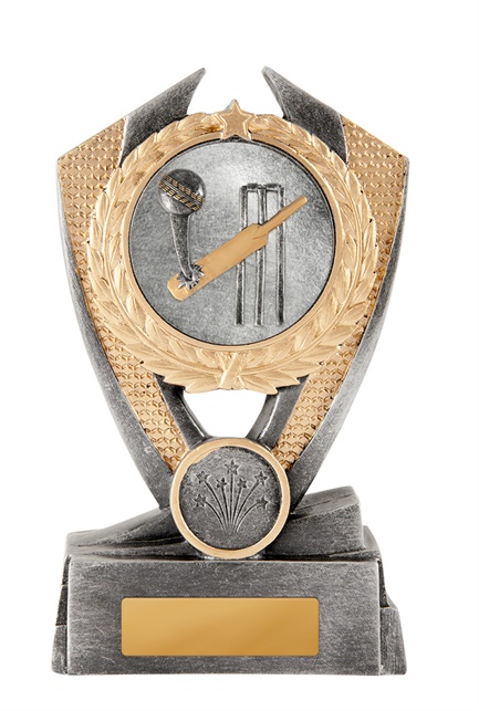 12a-2dc1g_discount-general-sports-trophies.jpg