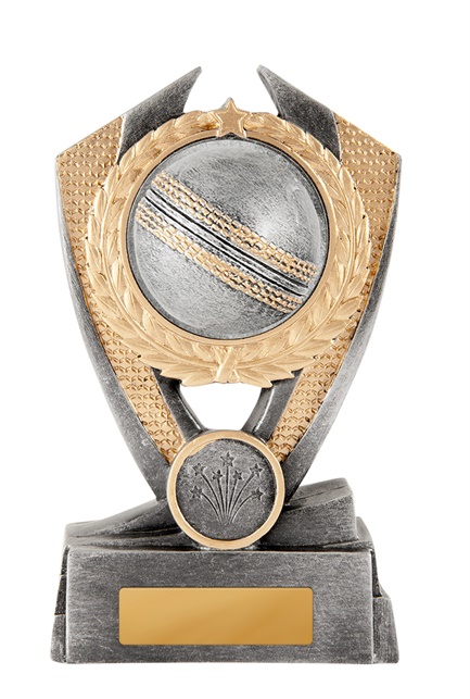 12a-2dc1ga_discount-general-sports-trophies.jpg