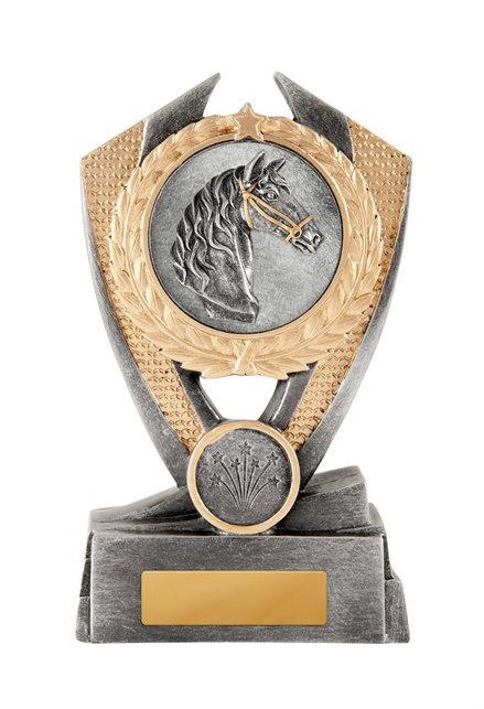 12a-2dc29g_discount-general-sports-trophies.jpg