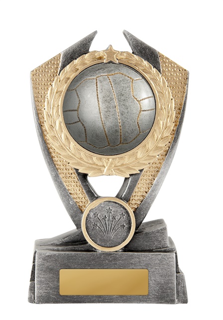 12a-2dc8ga_discount-netball-trophies.jpg