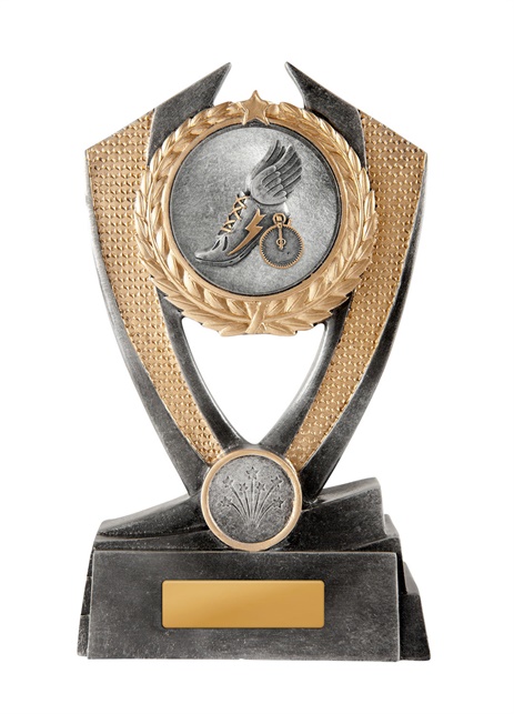 12a-2dc18g2_discount-general-sports-trophies.jpg