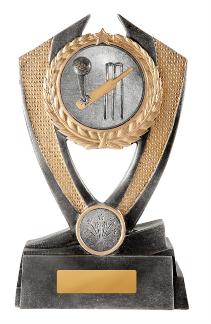12a-2dc1g_discount-general-sports-trophies.jpg