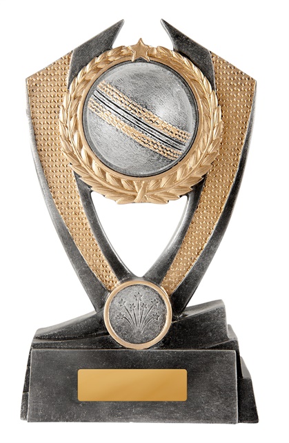 12a-2dc1ga_discount-general-sports-trophies.jpg