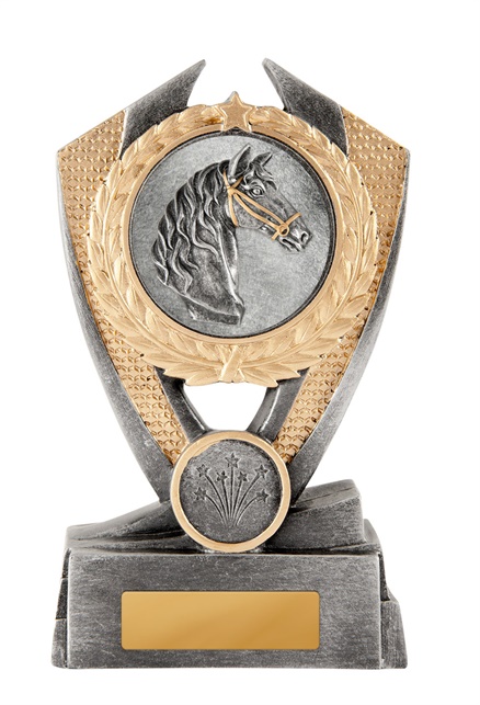 12a-2dc29g_discount-general-sports-trophies.jpg