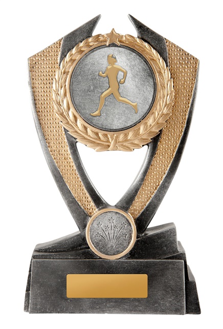 12a-2dc4fb_discount-general-sports-trophies.jpg