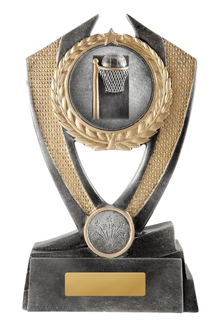 12a-2dc8g_discount-netball-trophies.jpg