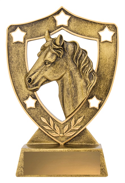 13535_EquestrianTrophies.jpg