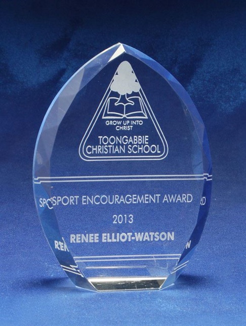 1363_crystal-trophy-readsoft.jpg