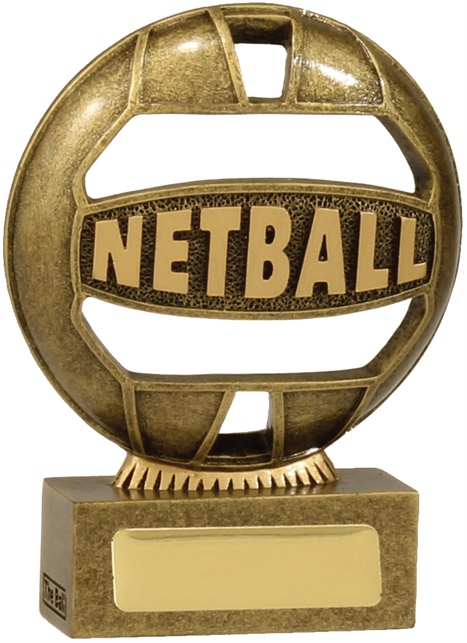 13937a_discount-netball-trophies.jpg