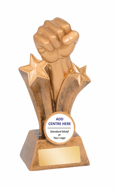 13990a_150mm_discount-martial-arts-trophies.jpg