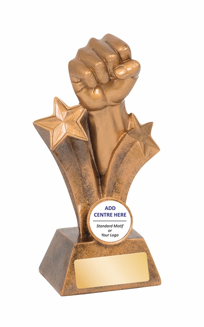 13990a_150mm_discount-martial-arts-trophies.jpg