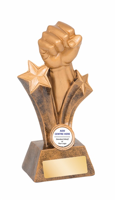 13990a_150mm_discount-martial-arts-trophies.jpg