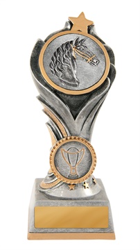 13a-2dc29g_discount-general-sports-trophies.jpg