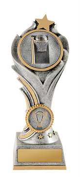 13a-2dc8g_discount-netball-trophies.jpg