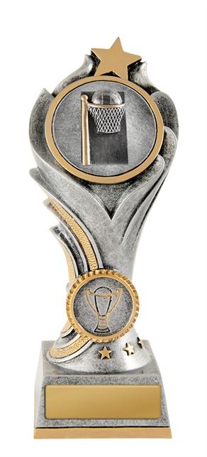 13a-2dc8g_discount-netball-trophies.jpg