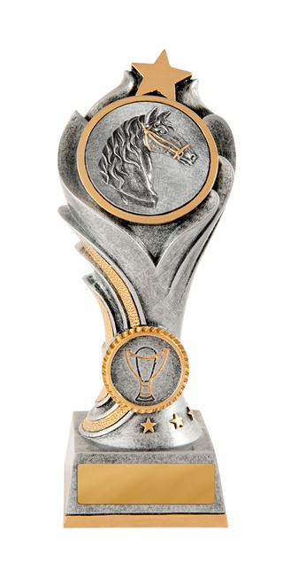 13a-2dc29g_discount-general-sports-trophies.jpg