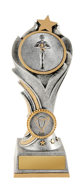 13a-2dc56m_discount-general-sports-trophies.jpg