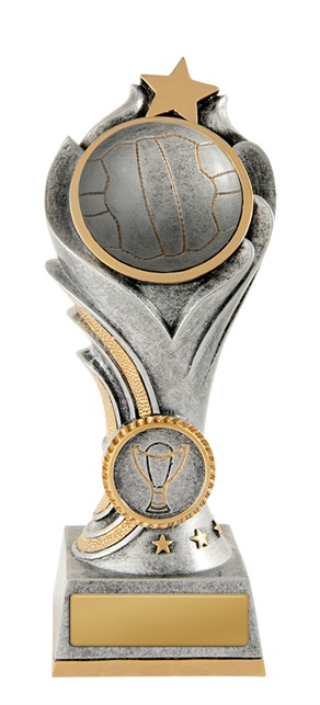 13a-2dc8ga_discount-netball-trophies.jpg