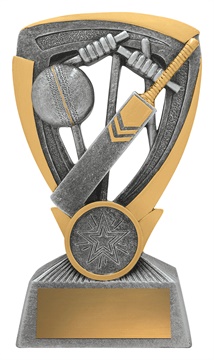 14240b_discount-cricket-trophies.jpg