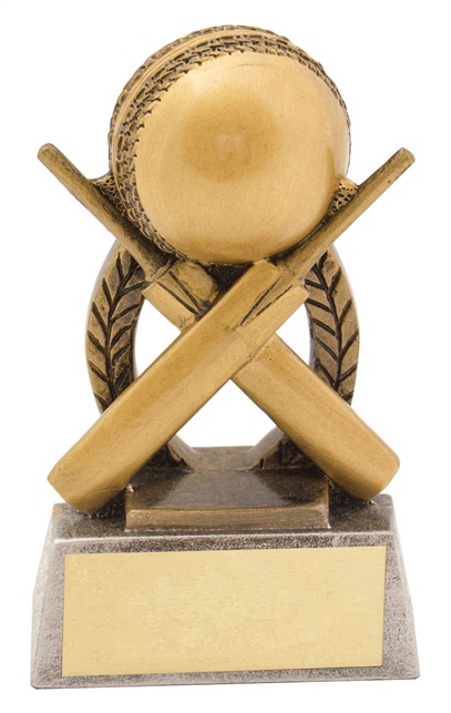 14340a_discount-cricket-trophies.jpg
