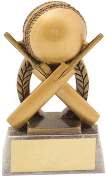 14340a_discount-cricket-trophies.jpg