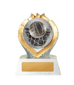 14a-2dc13g_discount-volleyball-trophies.jpg