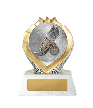 14a-2dc18g2_discount-general-sports-trophies.jpg