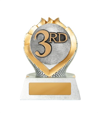14a-2dc3rd_discount-general-sports-trophies.jpg