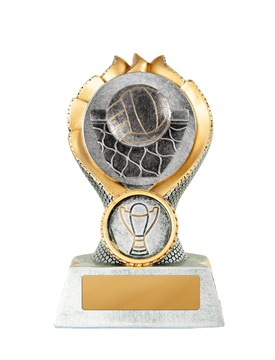 14b-2dc13g_discount-general-sports-trophies.jpg