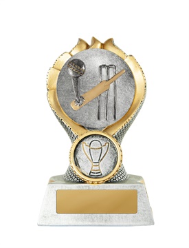 14b-2dc1g_discount-general-sports-trophies.jpg