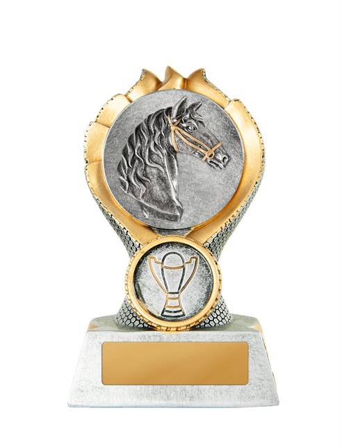 14a-2dc29g_discount-general-sports-trophies.jpg