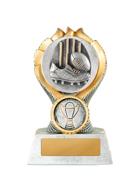 14b-2dc3g_discount-aussie-rules-afl-trophies.jpg