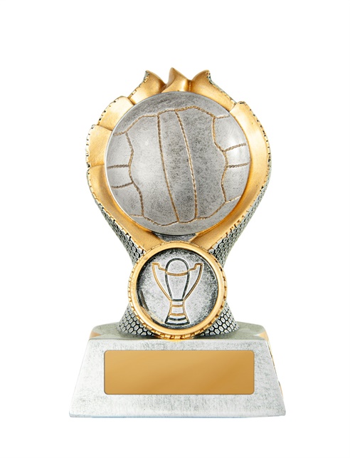 14a-2dc8ga_discount-netball-trophies.jpg