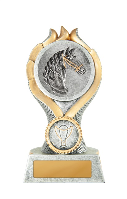 14a-2dc29g_discount-general-sports-trophies.jpg