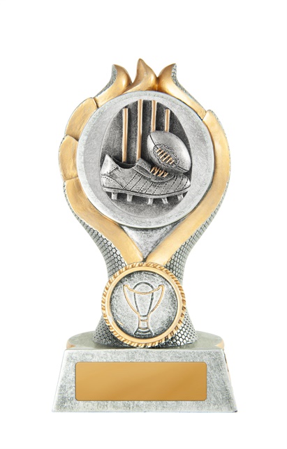 14b-2dc3g_discount-aussie-rules-afl-trophies.jpg
