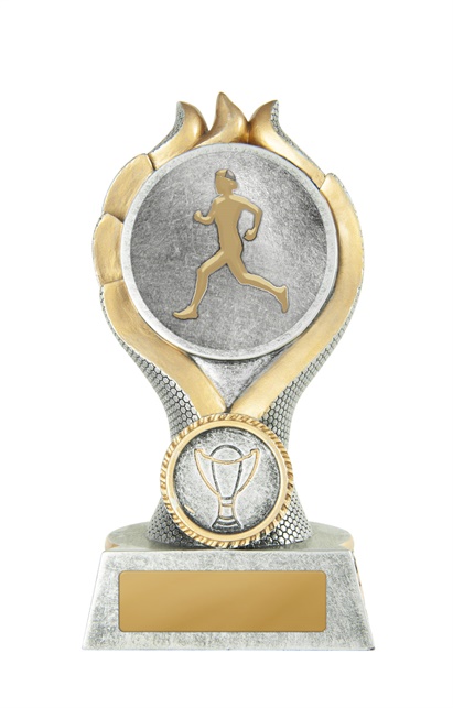 14a-2dc4fb_discount-general-sports-trophies.jpg