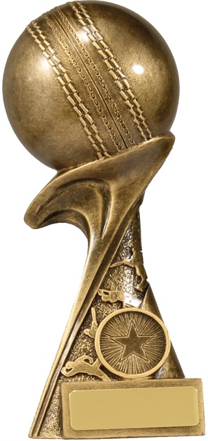 14340a_discount-cricket-trophies.jpg