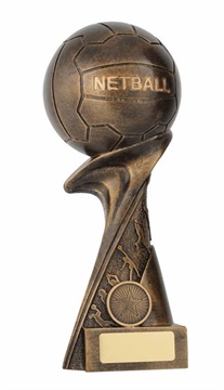 15091_netball-trophy-2.jpg