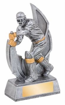 16764_discount-cricket-trophies.jpg