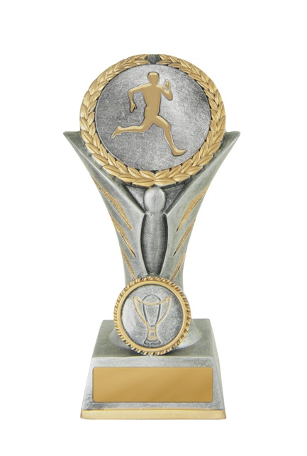 16a-2dc17ma_discount-general-sports-trophies.jpg