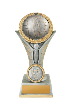 16a-5628sg_discount-netball-trophies.jpg