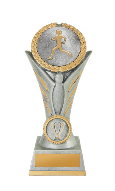 16a-2dc17fa_discount-general-sports-trophies.jpg