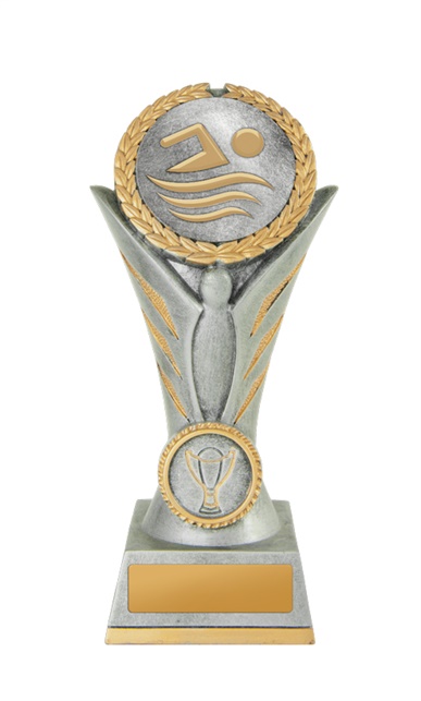 16a-2dc2a_discount-general-sports-trophies.jpg