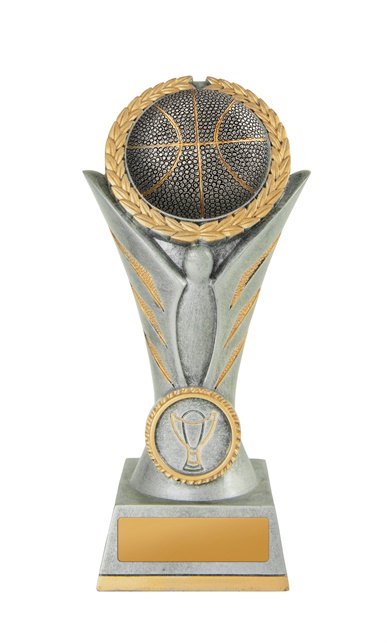 16a-5627sg_discount-basketball-trophies.jpg