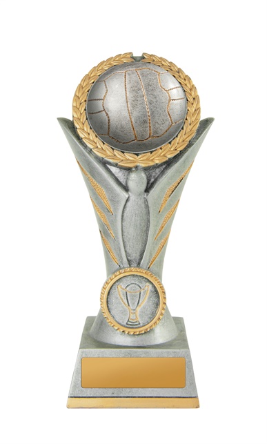 16a-5628sg_discount-netball-trophies.jpg